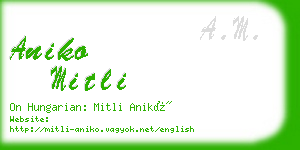 aniko mitli business card